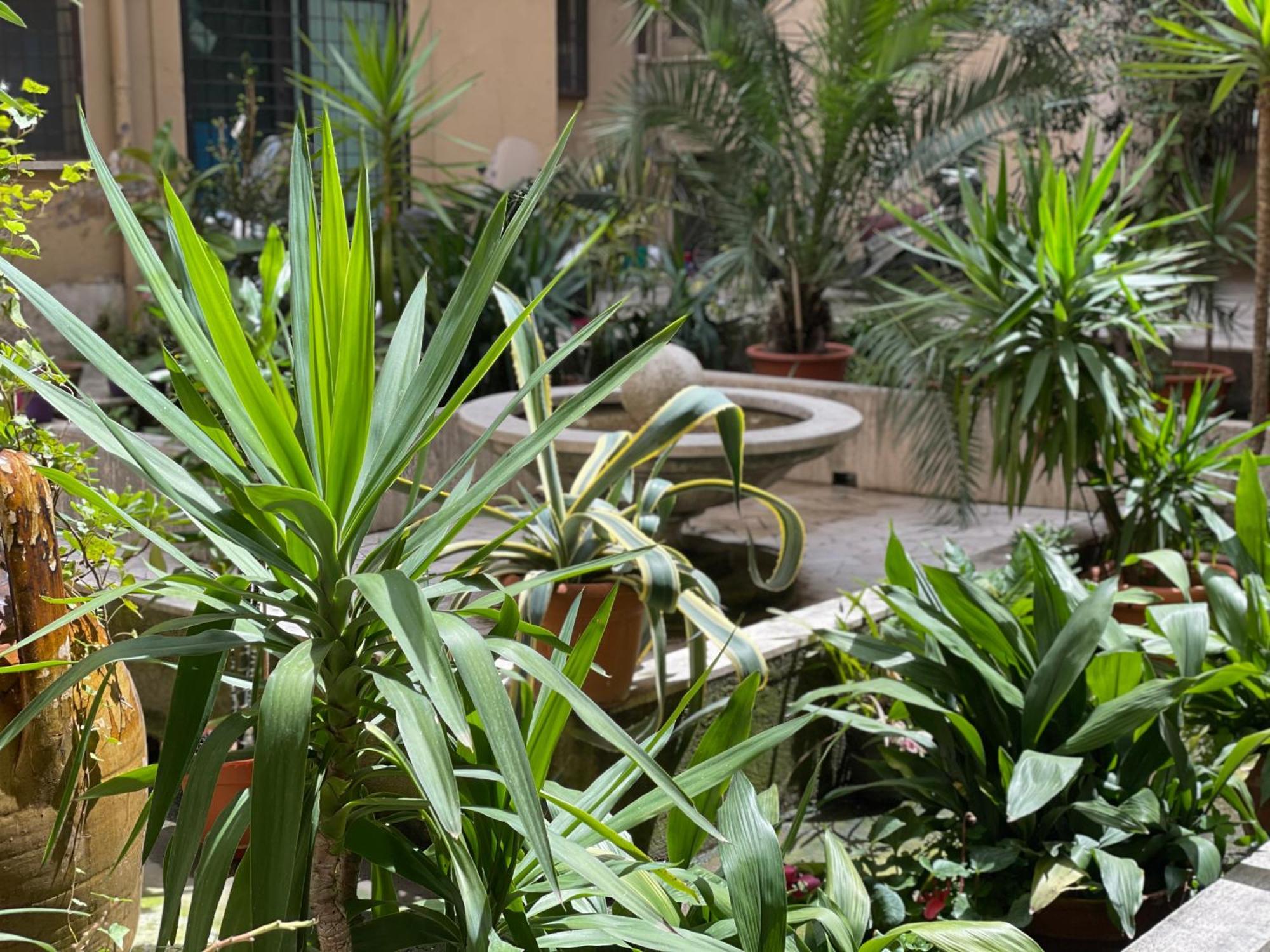 Home Sweet Rome Vatican Esterno foto